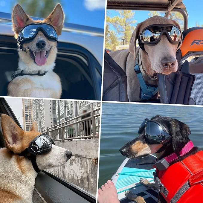 Dog Goggles — UV & Wind Protection