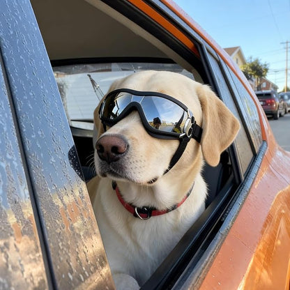 Dog Goggles — UV & Wind Protection