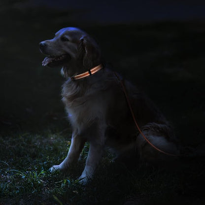 Reflective Dog Collar — Night Safety