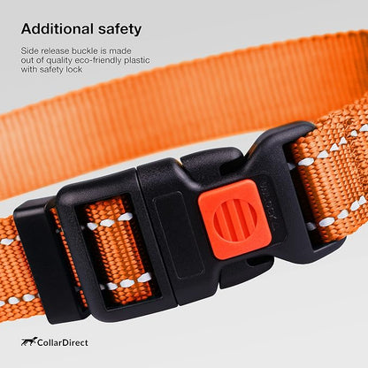Reflective Dog Collar — Night Safety