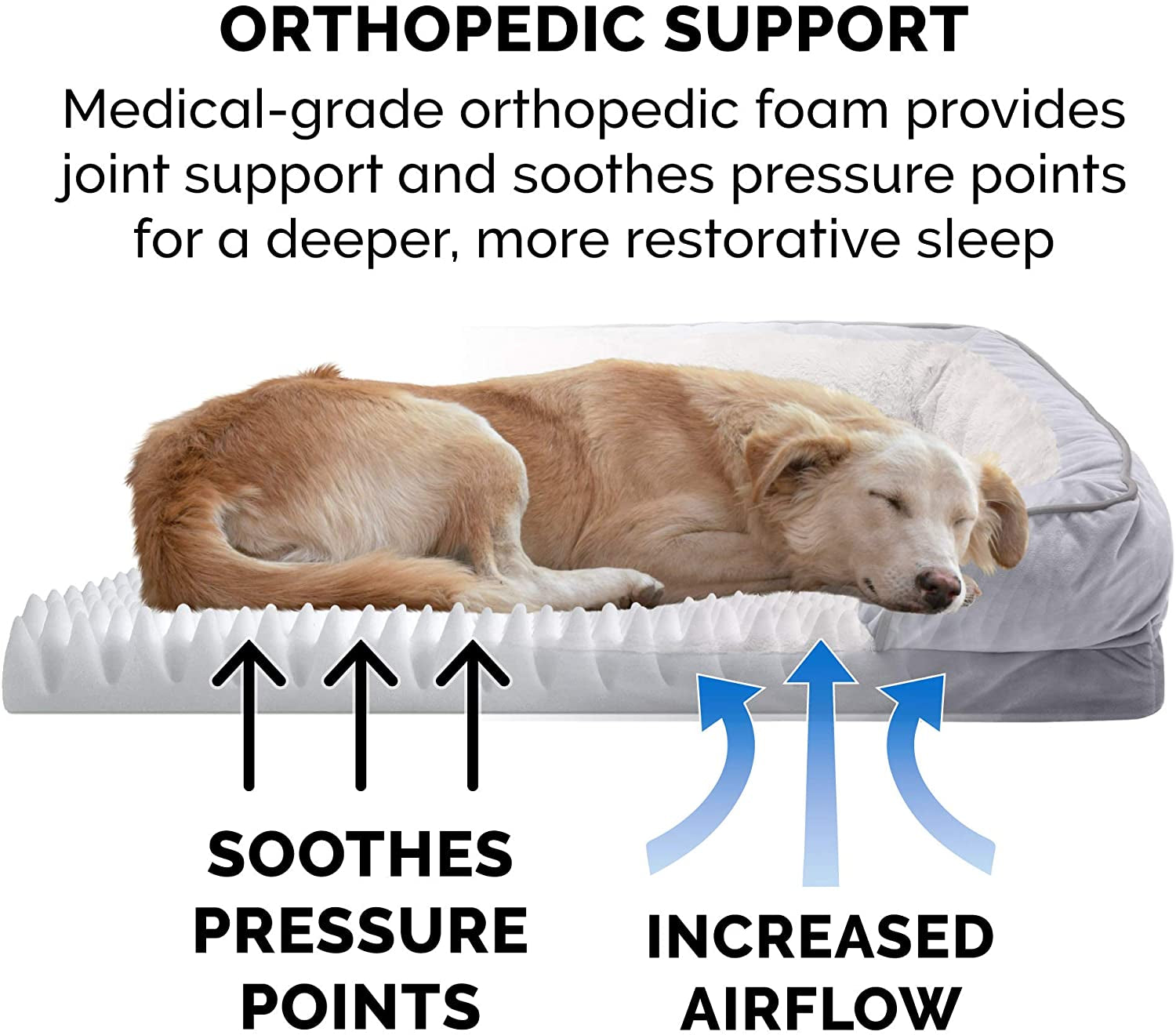 Orthopedic Dog Bed for Medium/Small Dogs W/ Removable Bolsters & Washable Cover, for Dogs up to 35 Lbs - Plush & Velvet Waves Perfect Comfort Sofa - Granite Gray, Medium